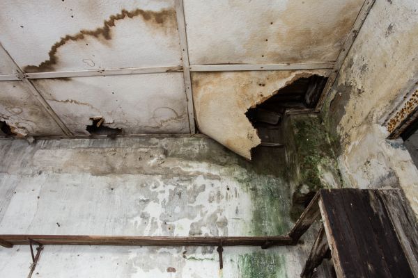 Water Damage Service in Ramona