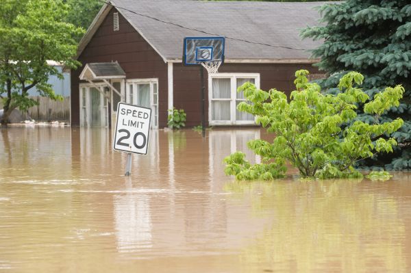 Cost of Storm Restoration Service in Ramona