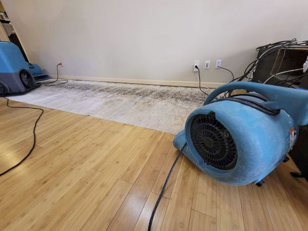 Cost of Water Damage Mitigation in Ramona