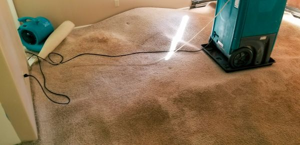 Flood Damage Cleanup in Ramona