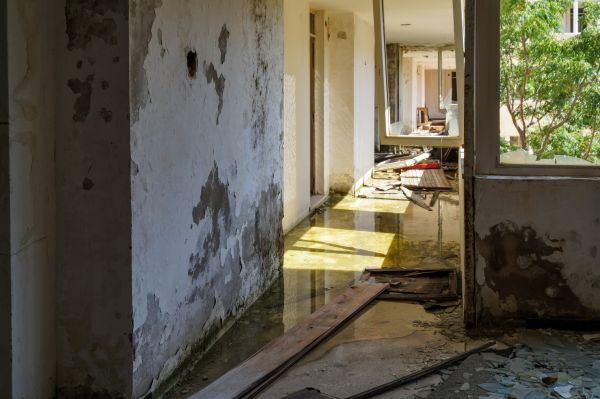 Water Removal Service in Ramona