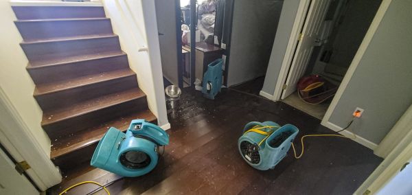 Water Damage Remediation in Ramona
