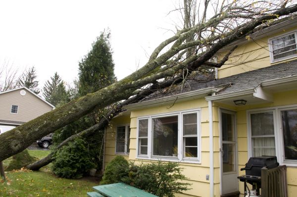 Hurricane Damage Repair in Ramona