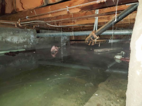 Cost of Crawlspace Water Restoration in Ramona